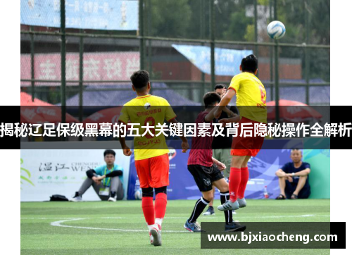 揭秘辽足保级黑幕的五大关键因素及背后隐秘操作全解析