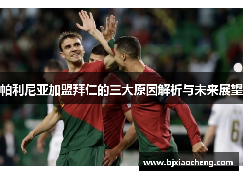 帕利尼亚加盟拜仁的三大原因解析与未来展望